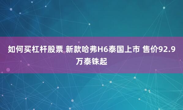 如何买杠杆股票 新款哈弗H6泰国上市 售价92.9万泰铢起