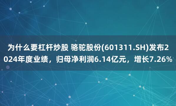 为什么要杠杆炒股 骆驼股份(601311.SH)发布2024年度业绩，归母净利润6.14亿元，增长7.26%