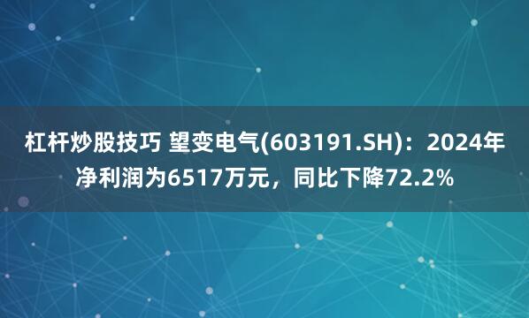 杠杆炒股技巧 望变电气(603191.SH)：2024年净利润为6517万元，同比下降72.2%