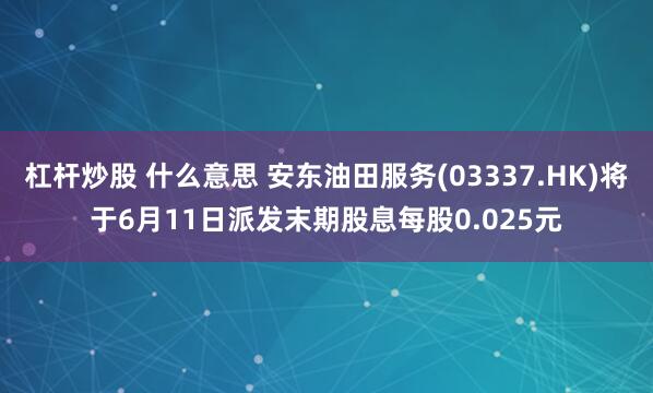 杠杆炒股 什么意思 安东油田服务(03337.HK)将于6月11日派发末期股息每股0.025元