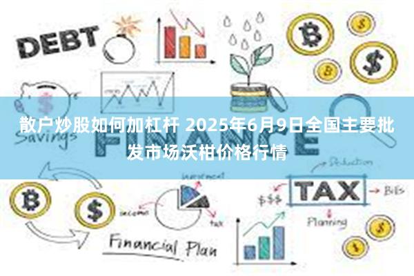 散户炒股如何加杠杆 2025年6月9日全国主要批发市场沃柑价格行情
